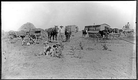 Sheridan County Kansas Farm Scene Kansas Memory Kansas Historical
