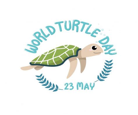 World Turtle Day 2021 8 Interesting Facts About Turtles That Will Images