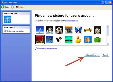 Xp User Icon At Collection Of Xp User Icon Free For