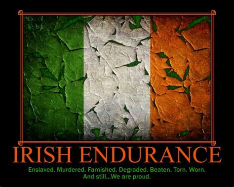 Irish Pride Quotes Quotesgram