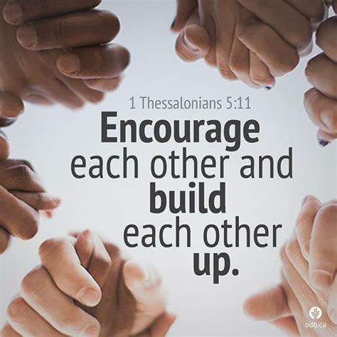 Encourage Each Other And Build Each Other Up Bible Quotes Bible