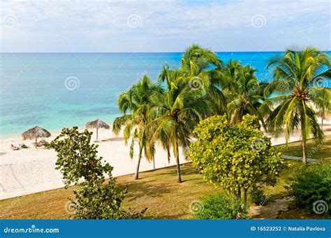 Caribbean beach stock photo. Image of caribbean, ocean - 16523252