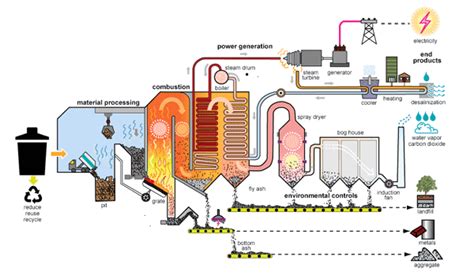 Renewable Energy 101 How Does Biomass Energy Work Too Big Webzine