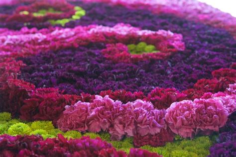 Best Florist Amazing Flower Designs From Jennifer Mcgarigle