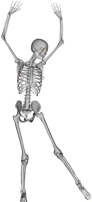 Human Skeleton Png Transparent Bone Skeleton Dance Transparent