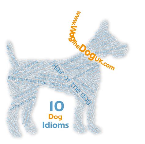 10 Dog Idioms Do You Know What They Mean