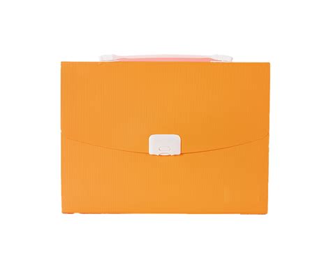 13 Pocket Expanding File Folder Letter Size File Organizer Document