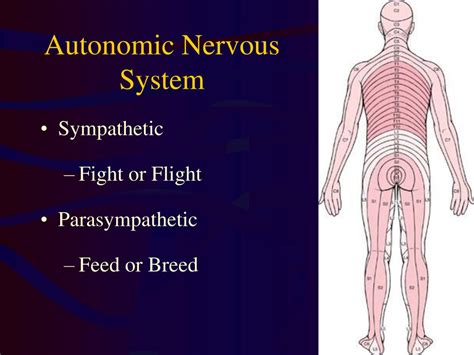 Ppt Nervous System Emergencies Powerpoint Presentation Free Download