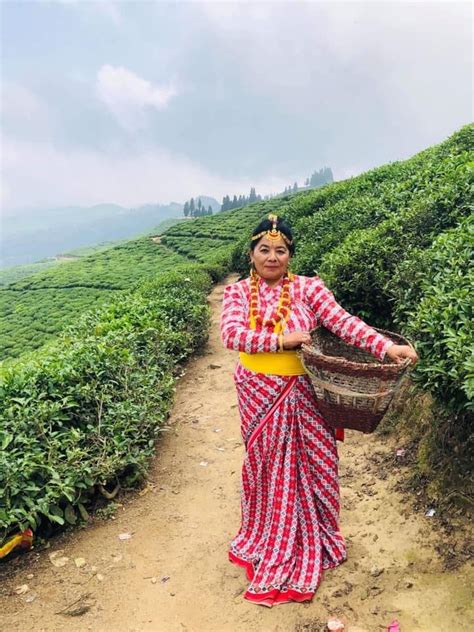 fashion vocabulary traditional dresses nepal girl photos photo art uniform appreciation