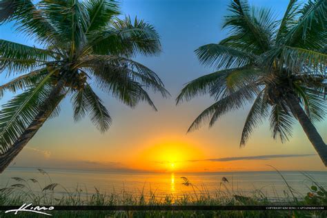 Florida Beach Sunrise Coconut Tree Palm Beach County Hdr Photography