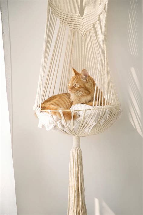 What Kitty Wouldnt Love One Of These Hanging Macrame Cat Hammocks