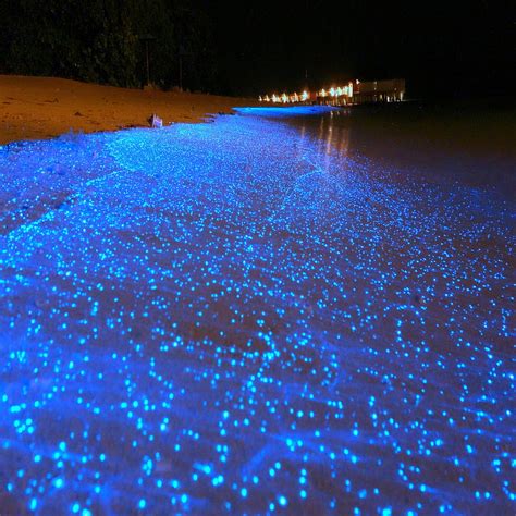 Glow Beach Island Maldives Ocean Sea Water Hd Phone Wallpaper