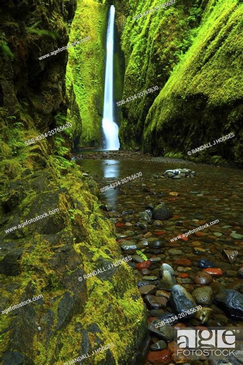 Oneonta Falls In Oneonta Gorge In The Columbia River Gorge National