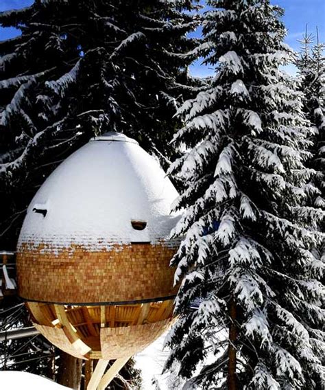 Claudio Beltrames Egg Shaped Treehouse Offers Panoramic Views Of The