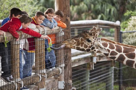 It is owned and operated by charles l. Best Zoos and Petting Zoos Around Atlanta | Atlanta Parent ...