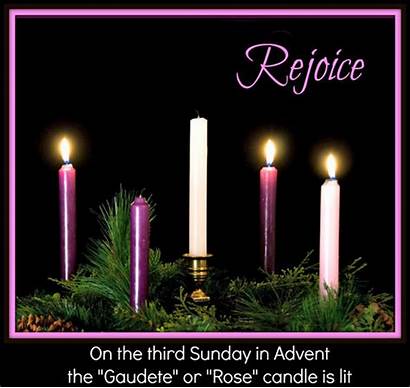 Sunday Advent 3rd Gaudete Candle Cycle Rose