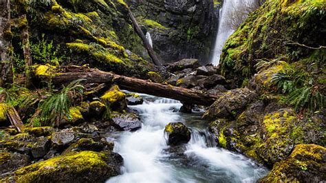 Royalty Free Photo Shot Of A Waterfall Pickpik