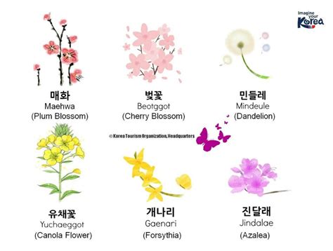 Flowers Names And Pictures List Of Plant And Flower Names In English