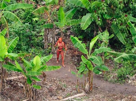 Uncontacted Amazon Tribe Members Murdered By Gold Miners Investigators Claim The Courier Mail
