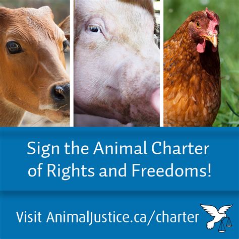 Animal Justice Ajclf Launches Charter Of Rights And Freedoms For Animals