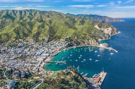 Catalina Island Visitor Counts July 2019