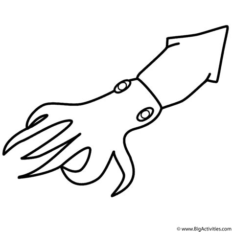 Squid Coloring Page Sea Marine Coloring Pages Coloring Pages To Print Color