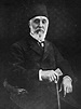 Ahmet Tevfik Pasha - Wikipedia | Old egypt, Portrait, Ottoman