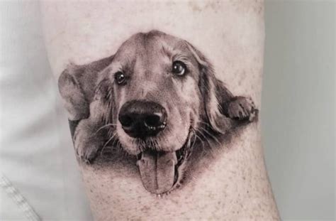 Beautiful Golden Retriever Tattoo Ideas Page Of Pettime