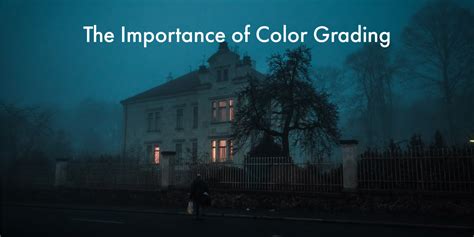 The Importance Of Color Grading Precision Camera And Video