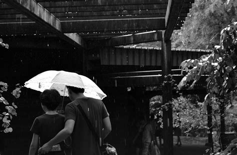 Free Images Black And White Street Rain Crowd Love Umbrella