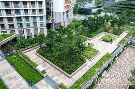 Green Roof Maintenance Rooftop Garden Care In Singapore