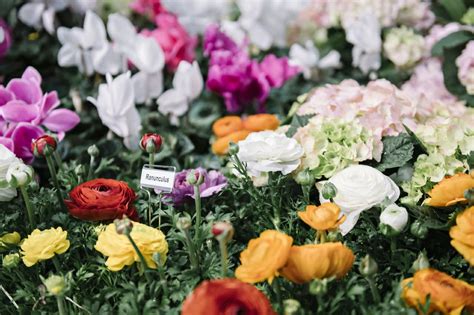 Galleria And Bachman’s Spring Floral Experience To Return Next Year Mpls St Paul Magazine