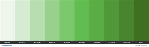 Green Color Palette With Hex Codes