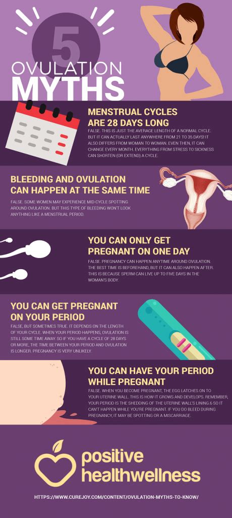 5 Ovulation Myths You Need To Know Infographic Positive Health Wellness