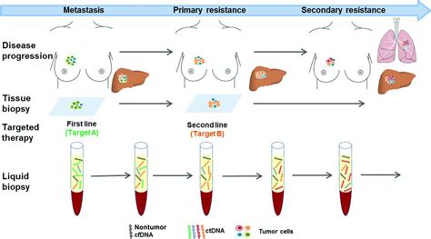 Serial Liquid Biopsies To Monitor Therapeutic Response And Treatment