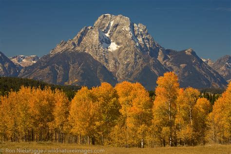 Mount Moran Grand Teton National Park Wyoming Photos By Ron Niebrugge