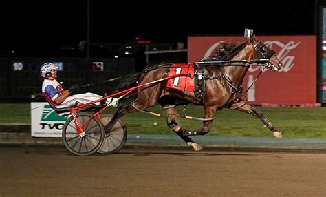 Pin On Horses And Harness Racing