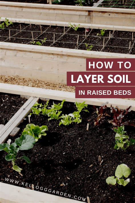 Layering Soil For A Cheap Raised Garden Bed Kellogg Garden Organics