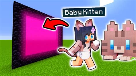 How To Make A Portal To The Aphmau Baby Kittens Secret Base Dimension