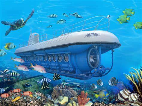 atlantis submarines barbados bridgetown lohnt es sich mit fotos