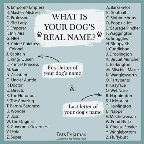 What Is Your Dogs Name