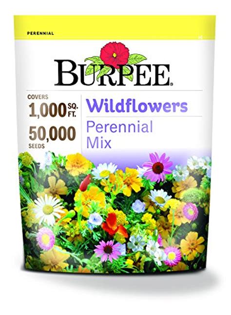Burpee Wildflowers Perennial Mix 50000 Seeds Warehousesoverstock