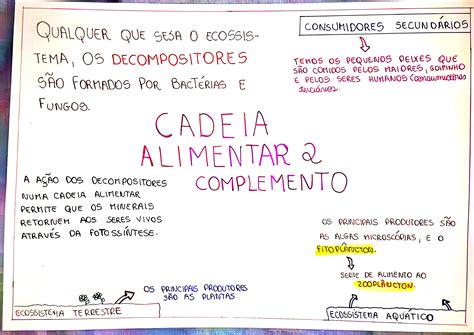 Cadeia Alimentar Mapa Mental