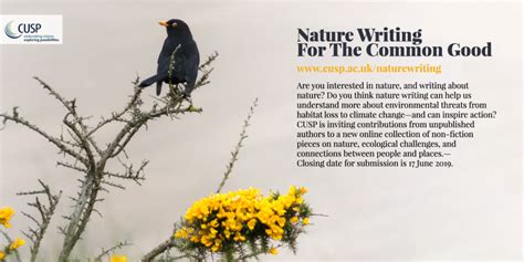 Nature Writing Competition For The Common Good Cusp Wellbeing