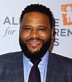 Anthony Anderson To Receive Star On The Hollywood Walk Of Fame Despite ...