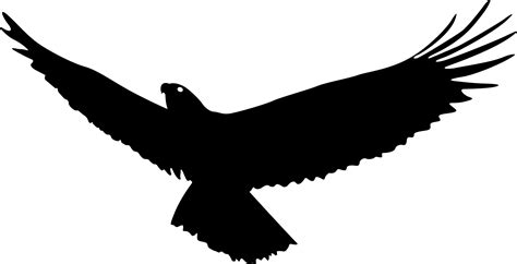 Bald Eagle Bird Flight Eagle Wings Png Download 22211135 Free