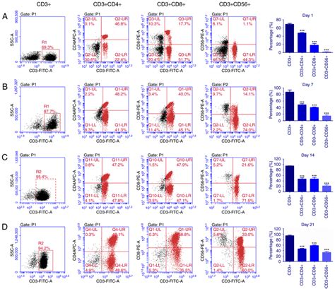 Characterization Of Cytokine Induced Killer Cells Peripheral Blood Was