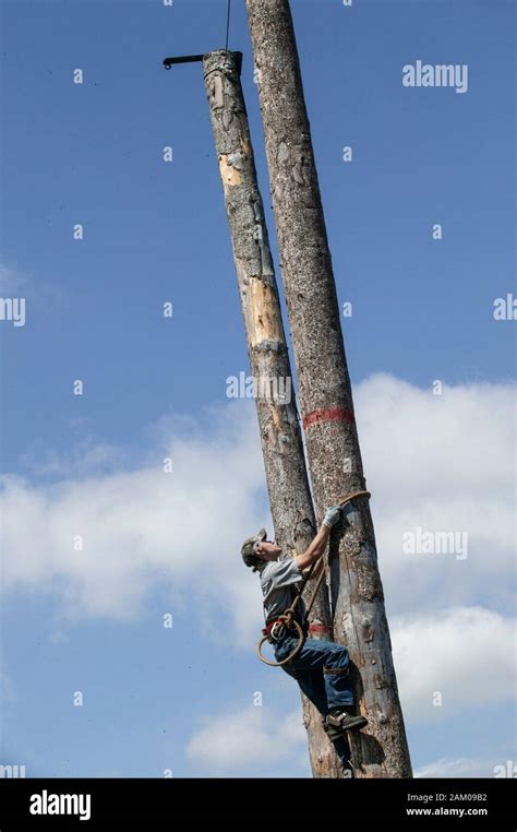 Tree Climb Climbing Lumberjack Hi Res Stock Photography And Images Alamy