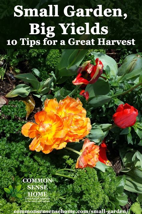 Small Garden Ideas 10 Tips To Grow More Food In Less