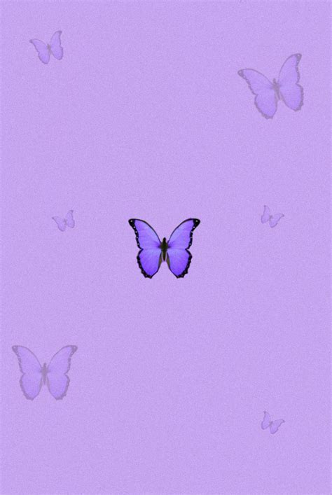 Aesthetic Purple Butterfly Wallpapers I Have Got My Own Macbook Since